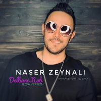 Cover of Delbare Nab (New Version)