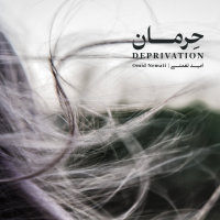 Cover of Herman