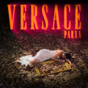 کاور آهنگ Versace