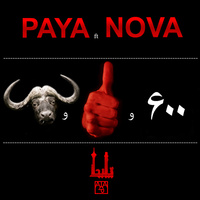 Shishsadoshastomish — Paya cover art
