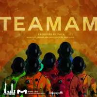 Teamam — Paya cover art