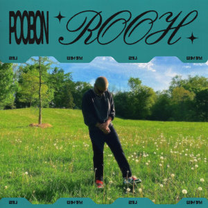 Cover of Rooh