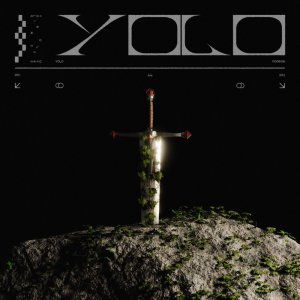 کاور آهنگ Yolo