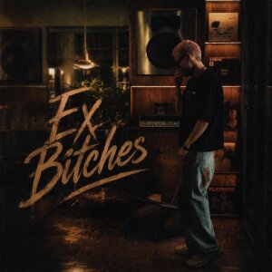 Ex Bitches — Pooyan JC cover art