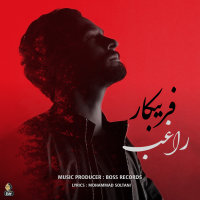 کاور آهنگ فریبکار