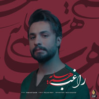 کاور آهنگ هم سایه