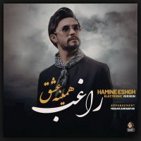 Cover of Hamine Eshgh (Electronic Version)