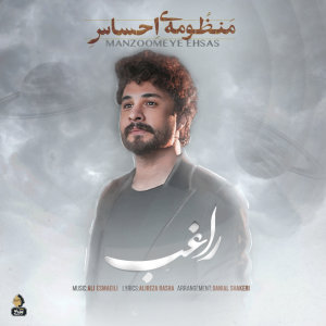 Cover of Manzoomeye Ehsas