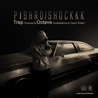 Cover of Shock