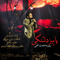 Cover of Paeeze Deltangi