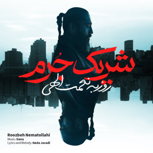 کاور آهنگ شریک جرم