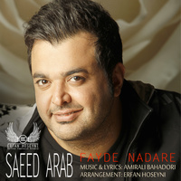 Fayde Nadare (Remix) — Saeed Arab cover art