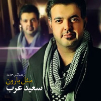 Mesle Baroon (Remix) — Saeed Arab cover art