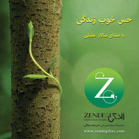 کاور آهنگ حس خوب زندگی