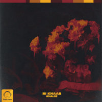 Cover of Bi Khaab