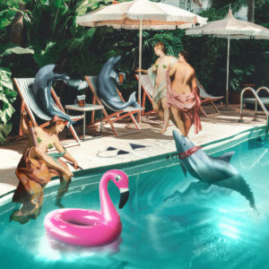 Cover of Dolphin
