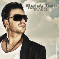 Cover of Delam Kou