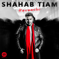 Cover of Havaashi