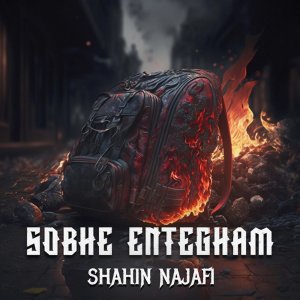 کاور آهنگ صبح انتقام