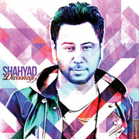 Divoonegi — Shahyad cover art