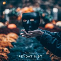 Peydat Nist — Shervin Hajipour cover art