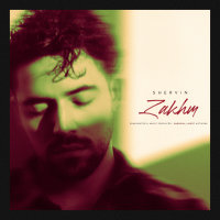 Zakhm (Unplugged) — Shervin Hajipour cover art