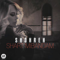 Cover of Shart Mibandam