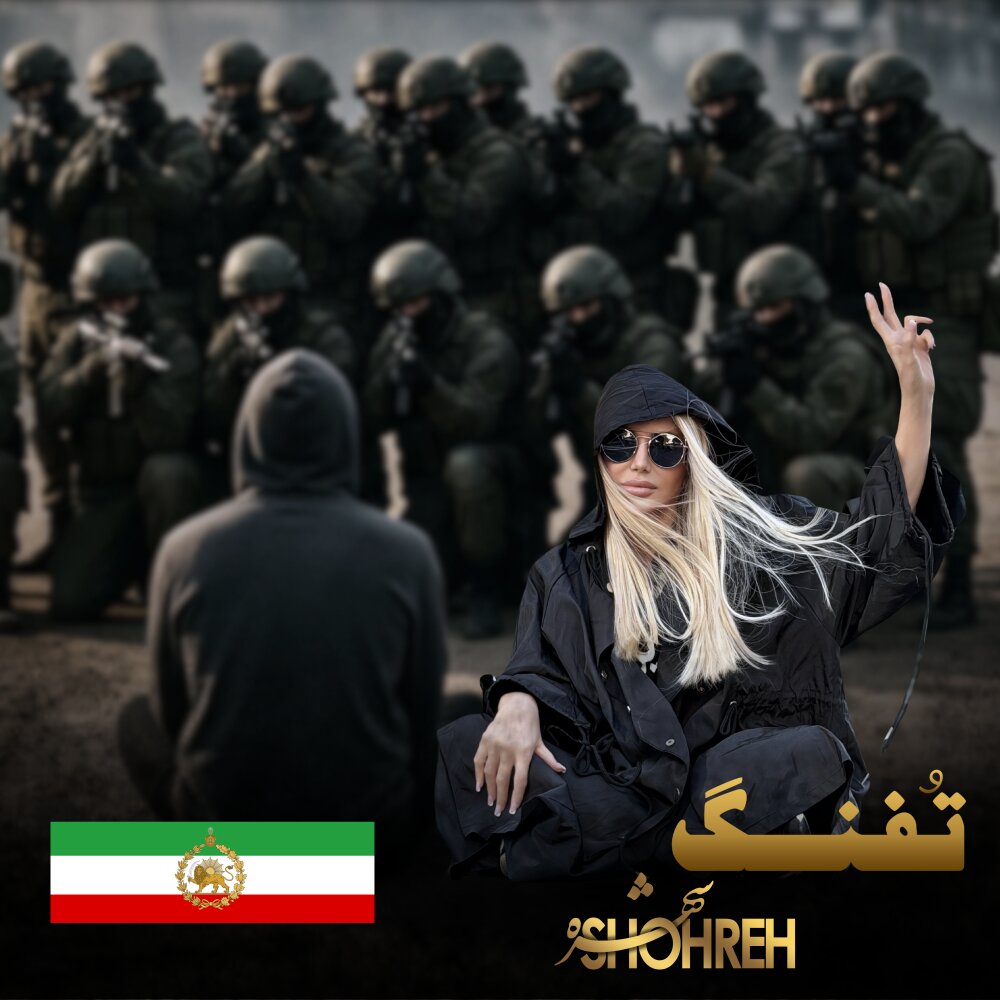 کاور تفنگ
