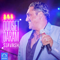 Dooset Daram — Siavash cover art