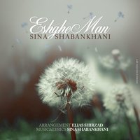 Cover of Eshghe Man