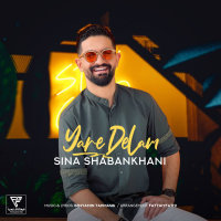 Yare Delam — Sina Shabankhani cover art