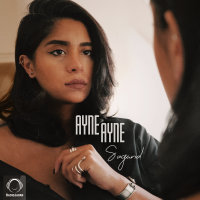 Cover of Ayne Ayne