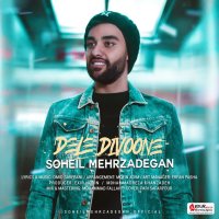 Dele Divoone — Soheil Mehrzadegan cover art