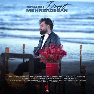 Doorit — Soheil Mehrzadegan cover art