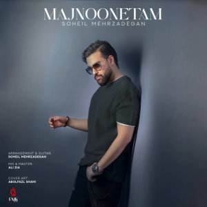Majnoonetam (Guitar Version) — Soheil Mehrzadegan cover art