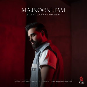 Majnoonetam — Soheil Mehrzadegan cover art
