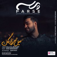 Parse — Soheil Mehrzadegan cover art