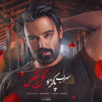کاور آهنگ گل بی نقص