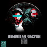 Cover of Nemigiram Gardan