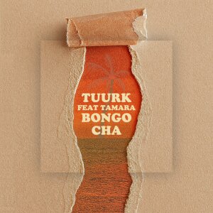 Cover of Bongo Cha