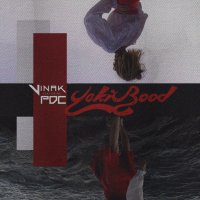 Yeki Bood (Ft PDC) — Vinak cover art