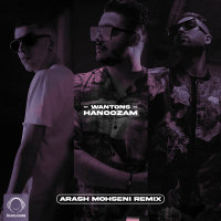 Hanoozam (Arash Mohseni Remix) — Wantons cover art
