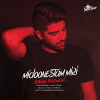 Cover of Midoonestam Miri