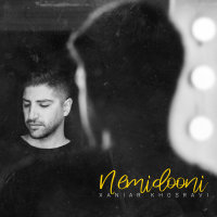 Cover of Nemidooni