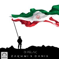 کاور آهنگ بی پلاک