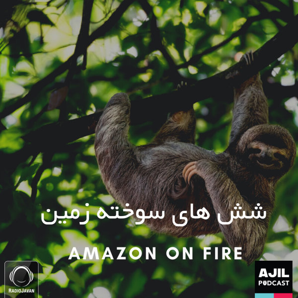 Ajil - 'Shoshhaye Sookhte Zamin'