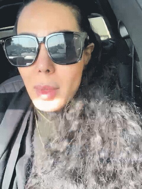 Hamin Alan · Majid Razavi