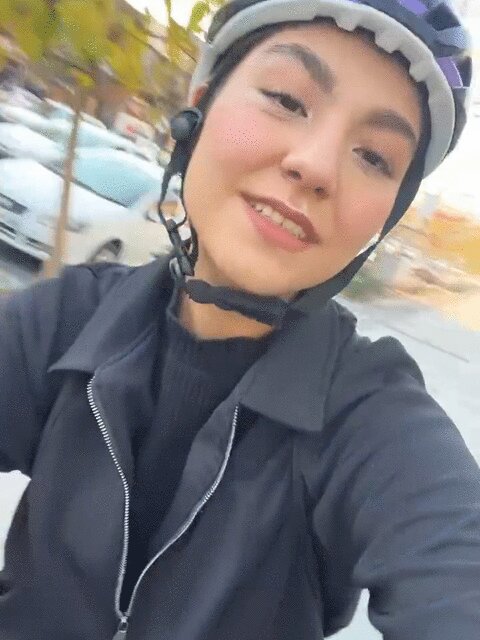 Paeeze Delam · Amirabbas Golab