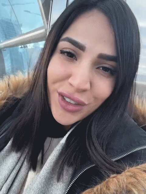 Hamin Alan · Majid Razavi